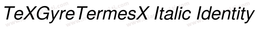 TeXGyreTermesX Italic Identity H字体转换